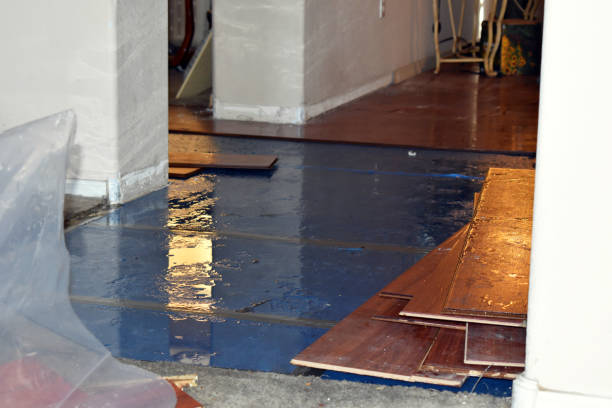 Professional Burst Pipe Cleanup technician working in Madbury, NH